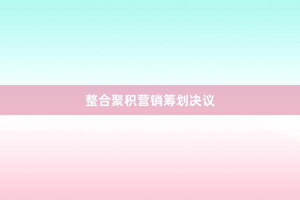 整合聚积营销筹划决议