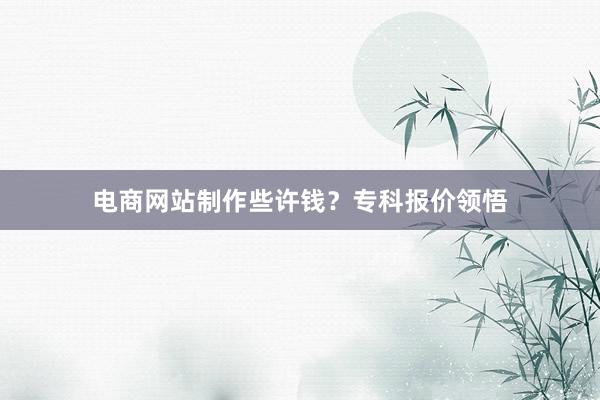 电商网站制作些许钱？专科报价领悟